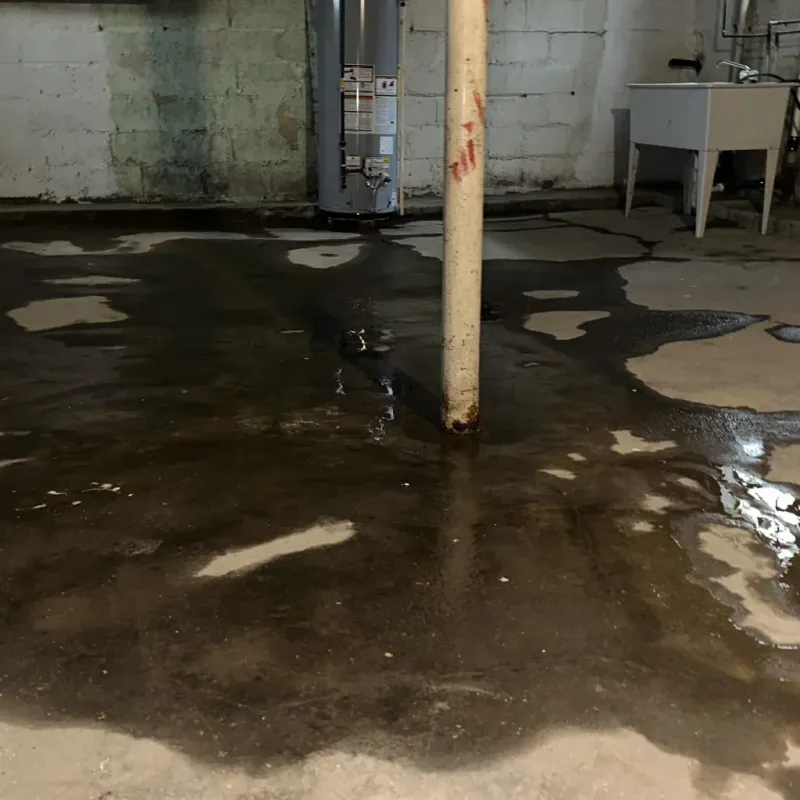 Emergency Water Extraction And Removal in Sugar Hill, GA